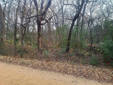 TBD Mapuana Rd, Sadler, TX 76264 - photo 2