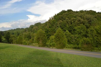 Stanton Rd Acreage 4