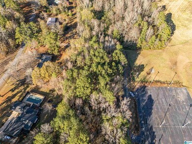 0 Northside Dr, Piedmont, AL 36272 - photo 7