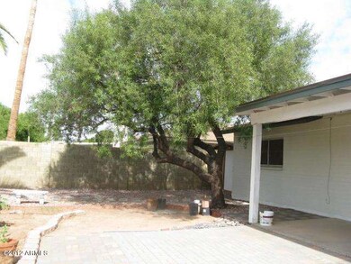 Backyard -  Ash Cir