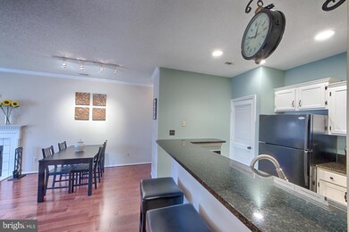 13070 Autumn Woods Way unit 206, Fairfax, VA 22033 - photo 5