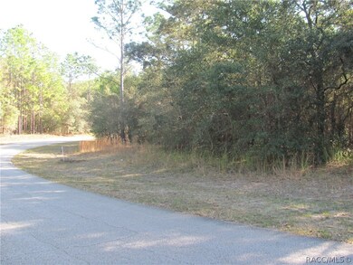 4902 N Mulberry Loop, Beverly Hills, FL 34465 - photo 7