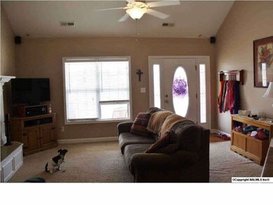 Nice Sunlight in Family Room and Pretty Lead Glass Door