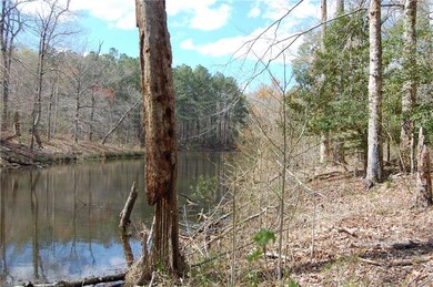 13009 Windsor Blvd, Windsor, VA 23487 - photo 7