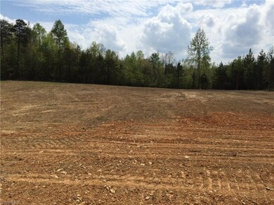 0 Holman Mill Rd unit 792585, 8, Newlin, NC 27349 - photo 5