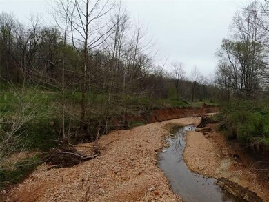 0 Springtown Rd, Siloam Springs, AR 72761 - photo 7