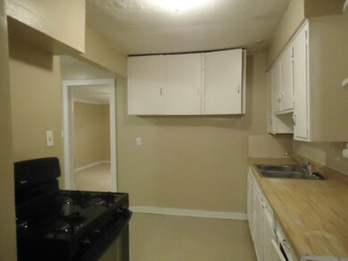 3907 Luca St, Houston, TX 77021 - photo 6