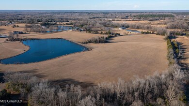 11-print-280 McCullough-5