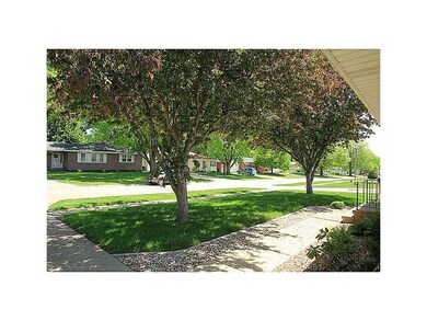 Yard.