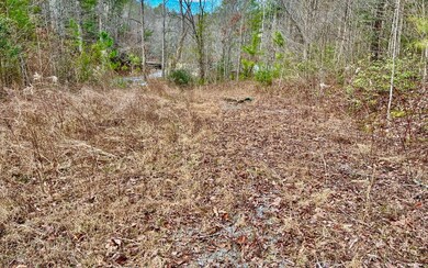 1029 Pleasant Hill Rd, Ellijay, GA 30540 - photo 3