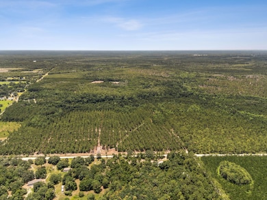 0 Penny Haddock Rd unit 24173778, Hilliard, FL 32046 - photo 3