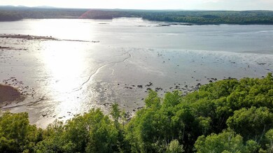 Low Tide