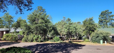 Lot 58 Alpine Heights (3)