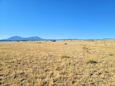 0 La Deora Blvd unit 25762736, Walsenburg, CO 81089 - photo 5