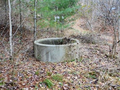 0 Hardscrabble Rd, Cane River, NC 28714 - photo 5