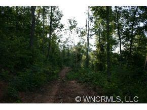 9999 N Turkey Creek Rd, Leicester, NC 28768 - photo 5