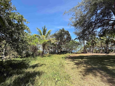 495 Haneoo Rd, Hana, HI 96713 - photo 4