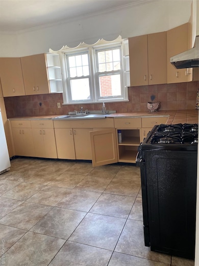 192 Beech St, Valley Stream, NY 11580 - photo 4