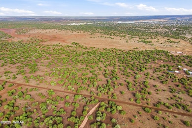 0 Silver Lake Blvd 16 32 Acres, Show Low, AZ 85901 - photo 2
