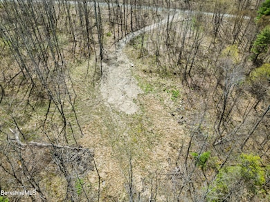 225 Aerial View