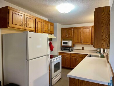 116 N Emerald Dr, Storm Lake, IA 50588 - photo 6