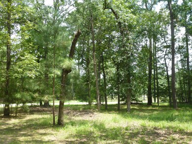 10103 Seneca Trail, Magnolia, TX 77354 - photo 6