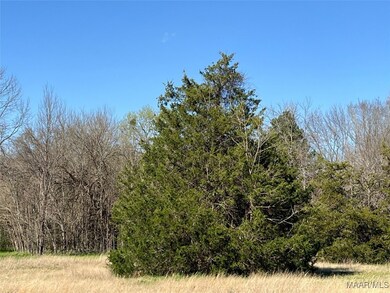 0 Barganier Rd unit 572423, Cecil, AL 36013 - photo 4