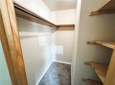 Walk in closet featuring carpet flooring