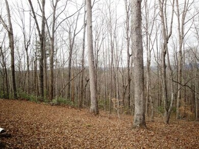 Lot Q-2 the Bear Blvd, Tamassee, SC 29686 - photo 7