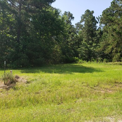 34 Silver Lakes Dr, Huntsville, TX 77340 - photo 2