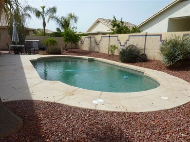 Backk Yard Pool
