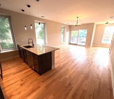 2100 W 18th Place unit 201, Chicago, IL 60608 - photo 7