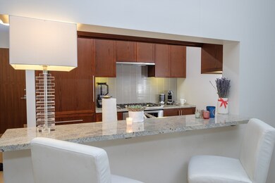 Millenium Place unit 8F, Boston, MA 02111 - photo 3