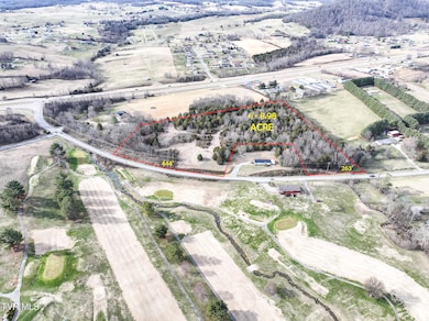 9 Ac Chuckey Hwy, Chuckey, TN 37641 - photo 2