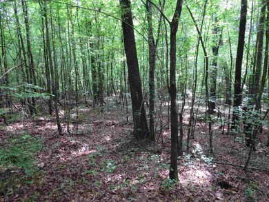 169 King Collier Rd, Brandon, MS 39042 - photo 2