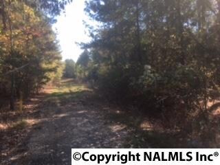 0 Lindsey St unit 1056553, Rainbow City, AL 35906 - photo 3