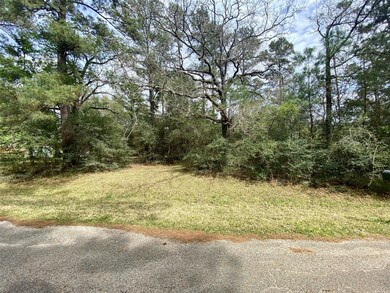 0 Mere, Pinehurst, TX 77362 - photo 4