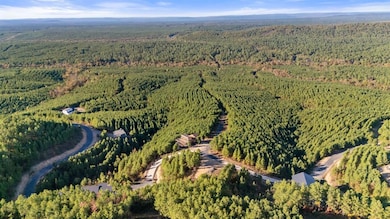 346 Overcup Oak Trail, Broken Bow, OK 74728 - photo 5