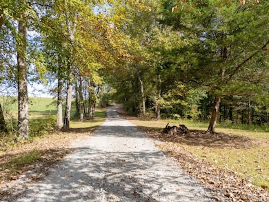 418 Spout Spring Rd, Dover, TN 37058 - photo 5