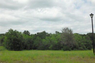 This what the lot could looks like when the trees 