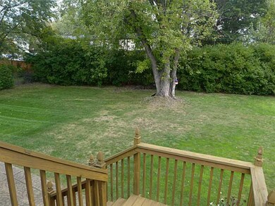 Yard/Garden. This huge back yard is level and comp