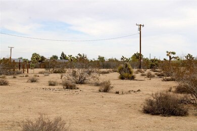 45907 Anita Ave, Yucca Valley, CA 92284 - photo 6