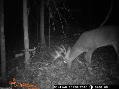 15.39 Greene Road 715, Paragould, AR 72450 - photo 5