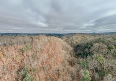 3909 Hodge Hollow Rd, Pulaski, VA 24301 - photo 4