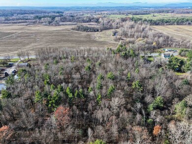 TBD Route 7 S, Middlebury, VT 05753 - photo 7