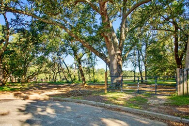 826 Aidan St, Fairhope, AL 36532 - photo 2