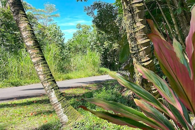 0 Government Beach Rd unit 724050, Pahoa, HI 96778 - photo 3