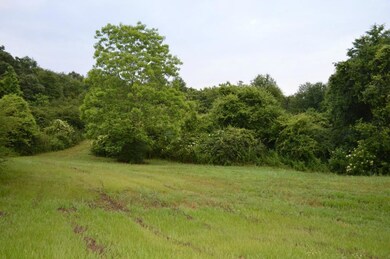 0 J W Taylor Rd, Franklinton, LA 70438 - photo 4