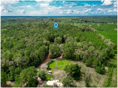 00 Florida 81, Ponce de Leon, FL - photo 3