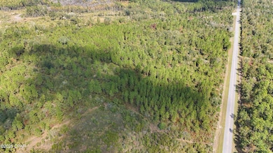 0 Douglas Ferry Rd unit 781383, Esto, FL 32425 - photo 5